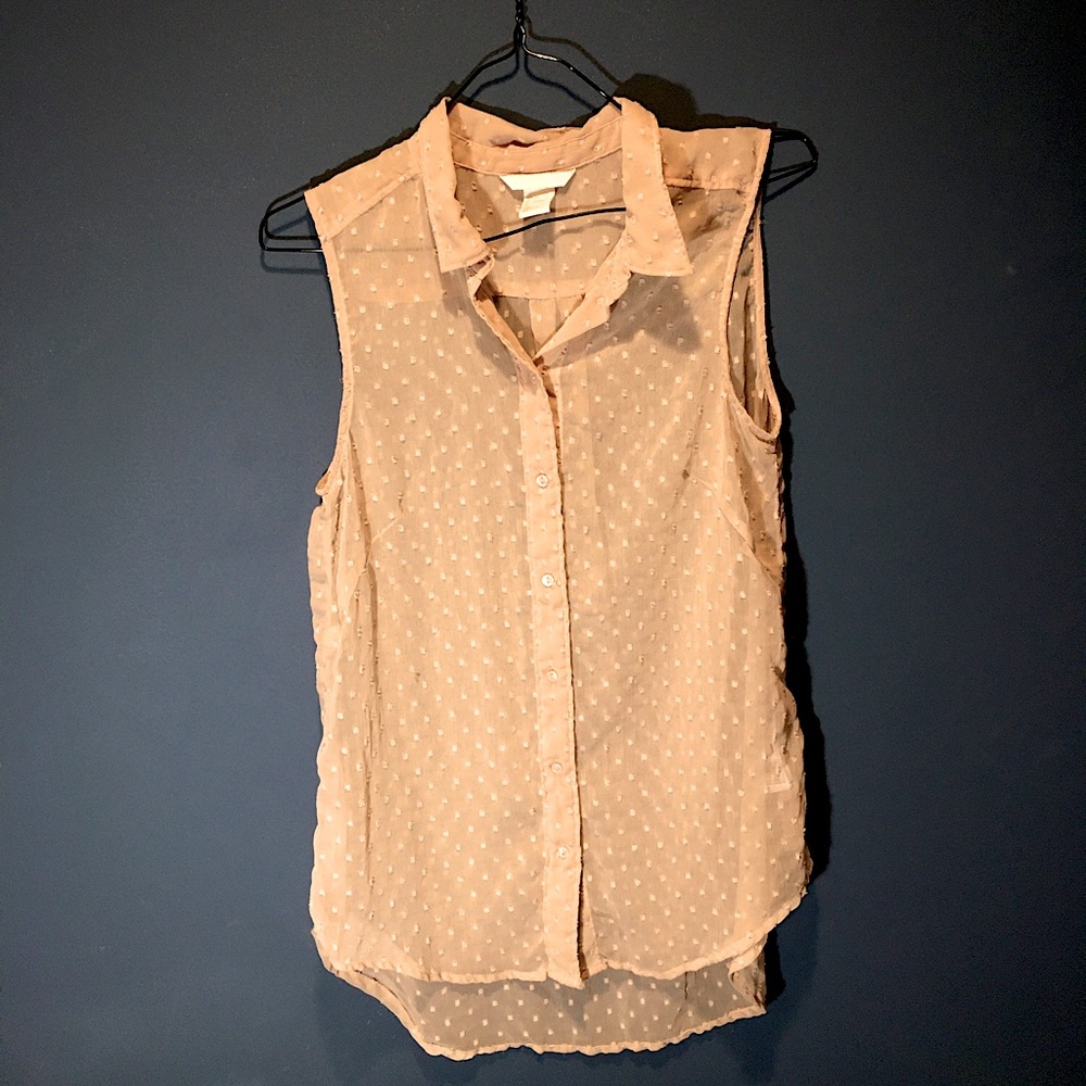 Sheer Button-Up Sleeveless Top